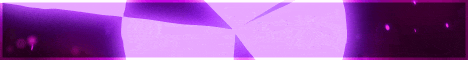 ElegantMC