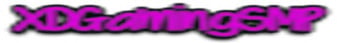 XDGamingSMP