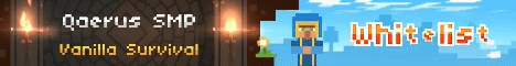 Qaerus SMP