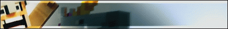 FoxyCraft banner