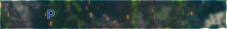 Playwn network banner Playwn network Minecraft server banner