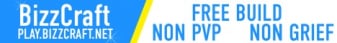 BizzCraft Survival