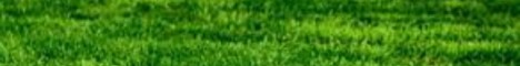 GrassMC Minecraft server banner